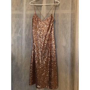(Brand New) Zara Basic Cocktail Slip Dress